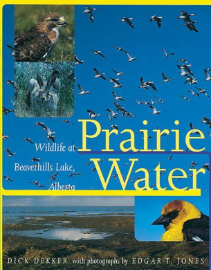 https://scientificbooks.net/sb/VOAHpZep3ySTzrCi8l.jpeg