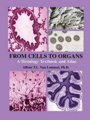 https://scientificbooks.net/sb/VOnCvClayctc9omQjm.jpeg