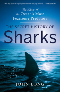 https://scientificbooks.net/sb/VRPG1a6O7jPW1aXPIy.jpeg