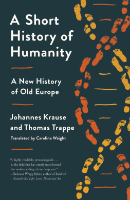 https://scientificbooks.net/sb/VdjdqwvPzSh8p9VUif.jpeg