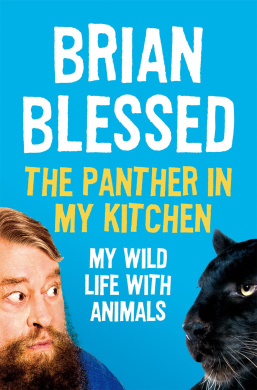 https://scientificbooks.net/sb/Vg87uTpy35SCpi5d41.jpeg