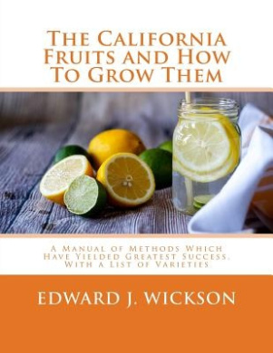 https://scientificbooks.net/sb/VhlGz3gvcGxqRgns2S.jpeg