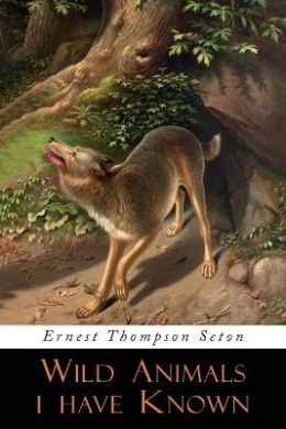 https://scientificbooks.net/sb/Vl8oaHXeRxNUF39Fo8.jpeg