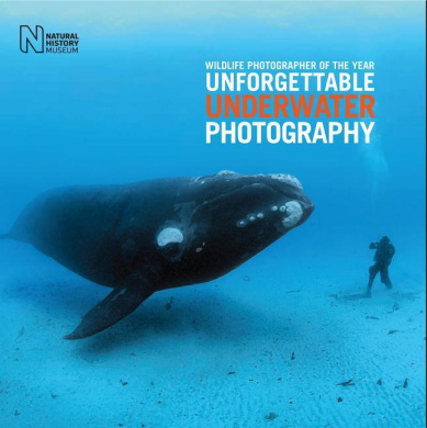 https://scientificbooks.net/sb/Vn8ebkvdOS6MOGQHzN.jpeg