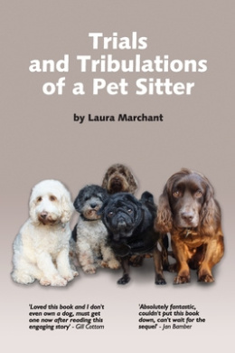 https://scientificbooks.net/sb/Vvys7ZyDDVZ1xJsddi.jpeg