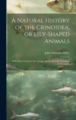 https://scientificbooks.net/sb/W0XZWLSh6mB8WQ5KNk.jpeg