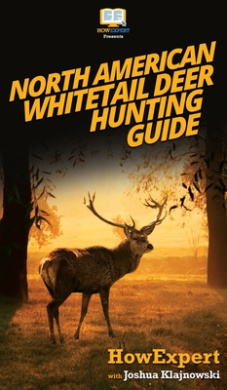 https://scientificbooks.net/sb/W277otId4xWDEi3btN.jpeg