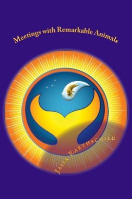 https://scientificbooks.net/sb/W67pFcr0rbExU1Ok7e.jpeg