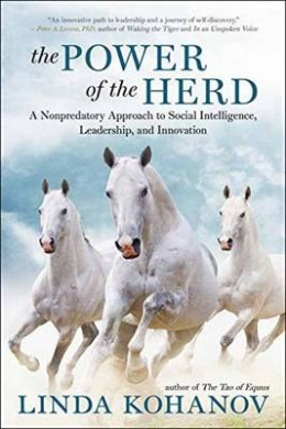 https://scientificbooks.net/sb/WAo0sIL66H4YygxkcE.jpeg