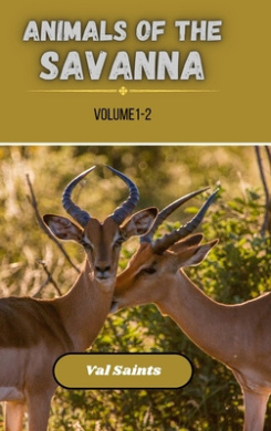https://scientificbooks.net/sb/WOmgNqsGRu03l1r2zo.jpeg