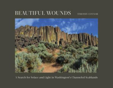 https://scientificbooks.net/sb/WbuMOZd2gN6QSbVWhc.jpeg