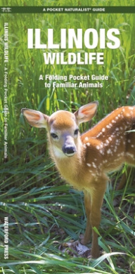 https://scientificbooks.net/sb/WdGFMUTz3cuEvwwdWO.jpeg