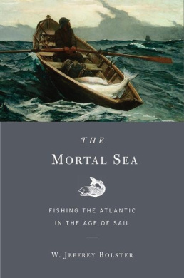https://scientificbooks.net/sb/WdoK2vp94n4HELaRca.jpeg