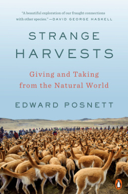 https://scientificbooks.net/sb/Whjan6opqEJ0FDv6gQ.jpeg