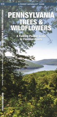 https://scientificbooks.net/sb/Wk9dFilF3U2FUtzIaV.jpeg
