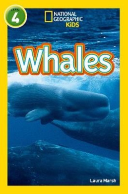 https://scientificbooks.net/sb/WrNNEQa6RmLniVqcdC.jpeg