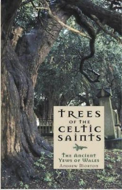 https://scientificbooks.net/sb/XLN3IRkhp69Wl2kgQz.jpeg